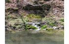 Property photo 8 - 137 Acres in 2 Tracts - 64 Tillable Acres, Potential Building Sites, Hunting